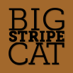 BigStripeCat