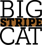BigStripeCat